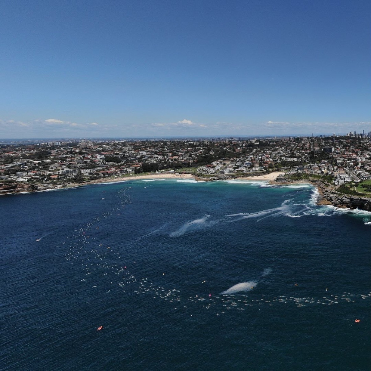Aerial drone view of swimmers in the Bondi to Bronte Ocean Swim